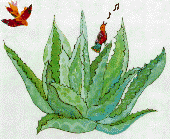 agave and birds